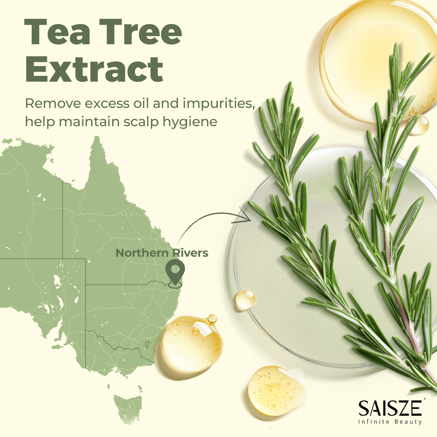 Tea Tree & Mint Shampoo & Conditioner Soap Set